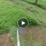 АКУ храсторез + резервна батерия + аксесоари – video