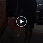 Букет от балони с рози и LED осветление – video