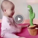 Весел кактус – video