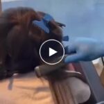 Керамичен уред за изправяне на коса – video