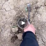 Многофункционално гребло за плевели – video