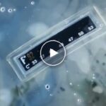 Преносим душ – video