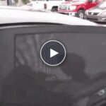 Универсални козирки за странично стъкло на автомобил – video