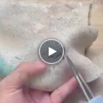 Ръчен електрически уред за скубане на пера – video