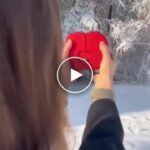Колие в подаръчна кутия – video