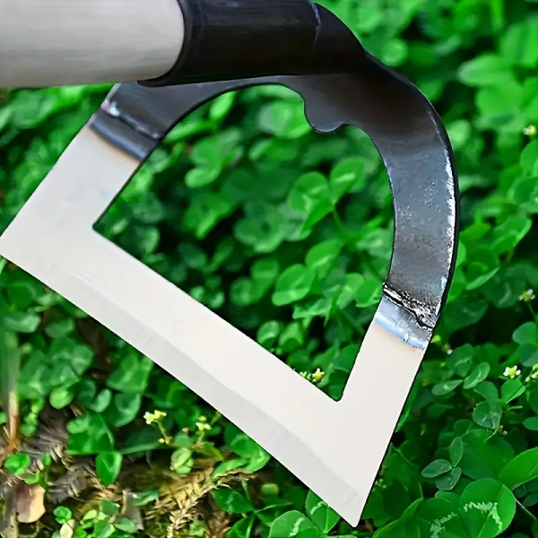 1piza001tg51d-t7.png