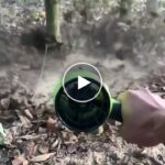 Brixon AKU Мощен мини вентилатор + резервна батерия – video