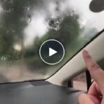 Препарат за почистване на автостъкла с въртяща се глава от микрофибър – video
