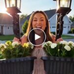 Слънчева градинска лампа за саксии – video