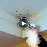 Спрей за почистване срещу мухъл по стените – video